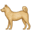 dog2